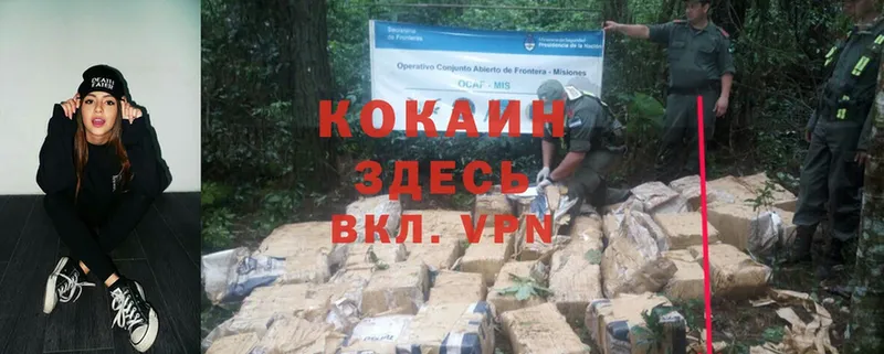 Cocaine Columbia  где купить   Аркадак 